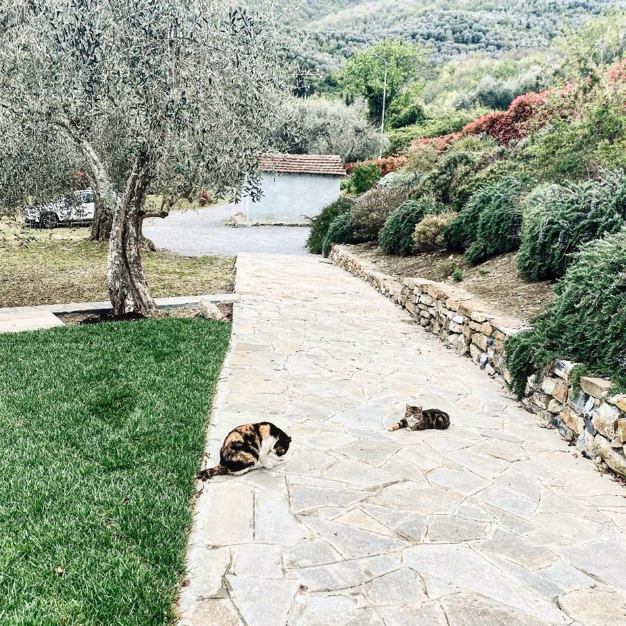Casa Vacanze Gli Ulivi Borgomaro Eksteriør bilde