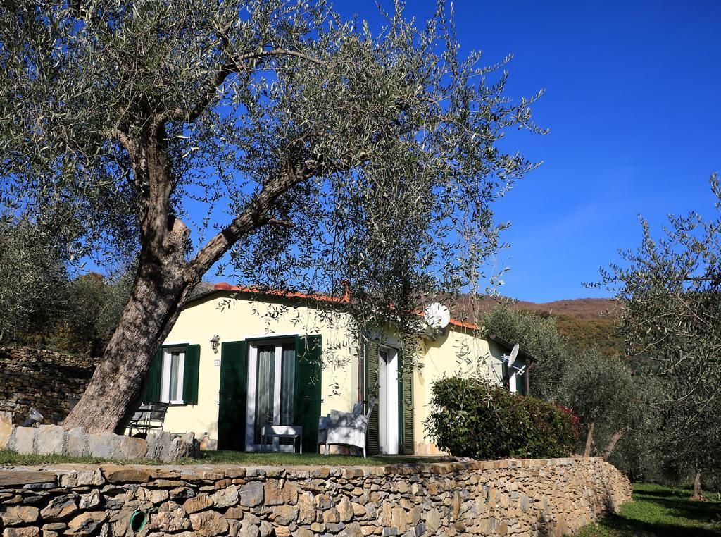 Casa Vacanze Gli Ulivi Borgomaro Eksteriør bilde